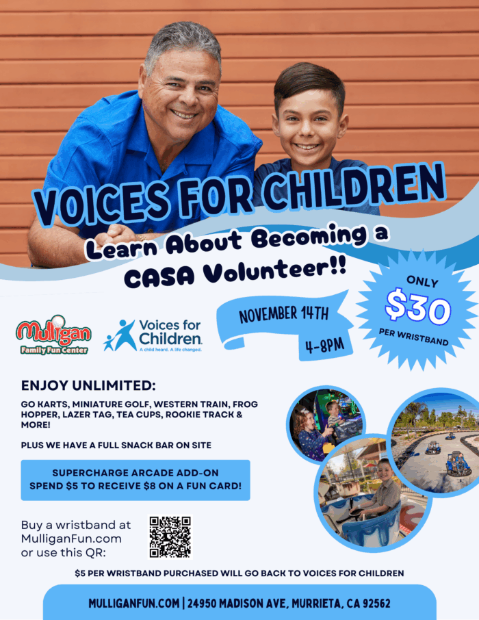 Voices For Children Fundraiser 11/14